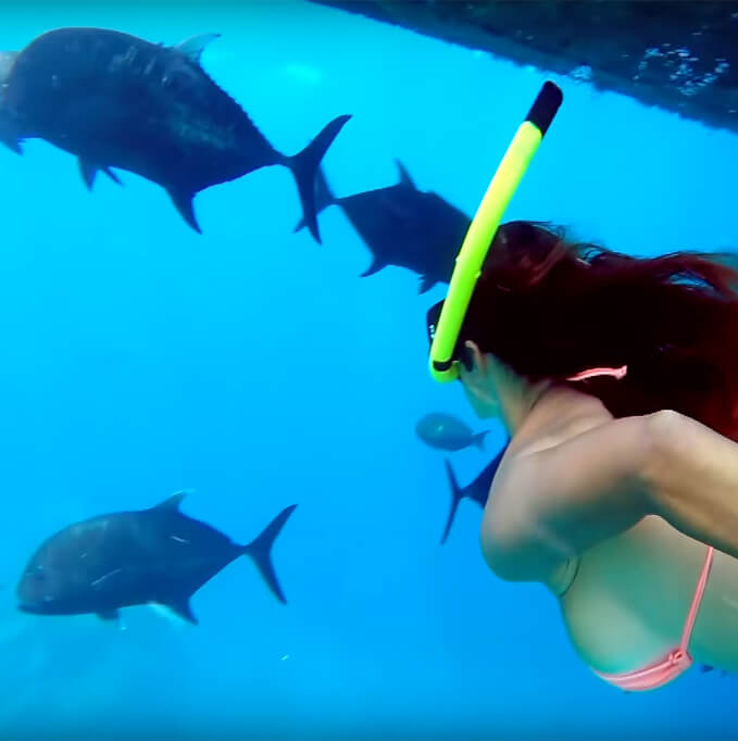 For front Page Snorkler