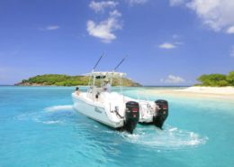 Day Cruise with swell time charters