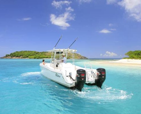 Day Cruise with swell time charters